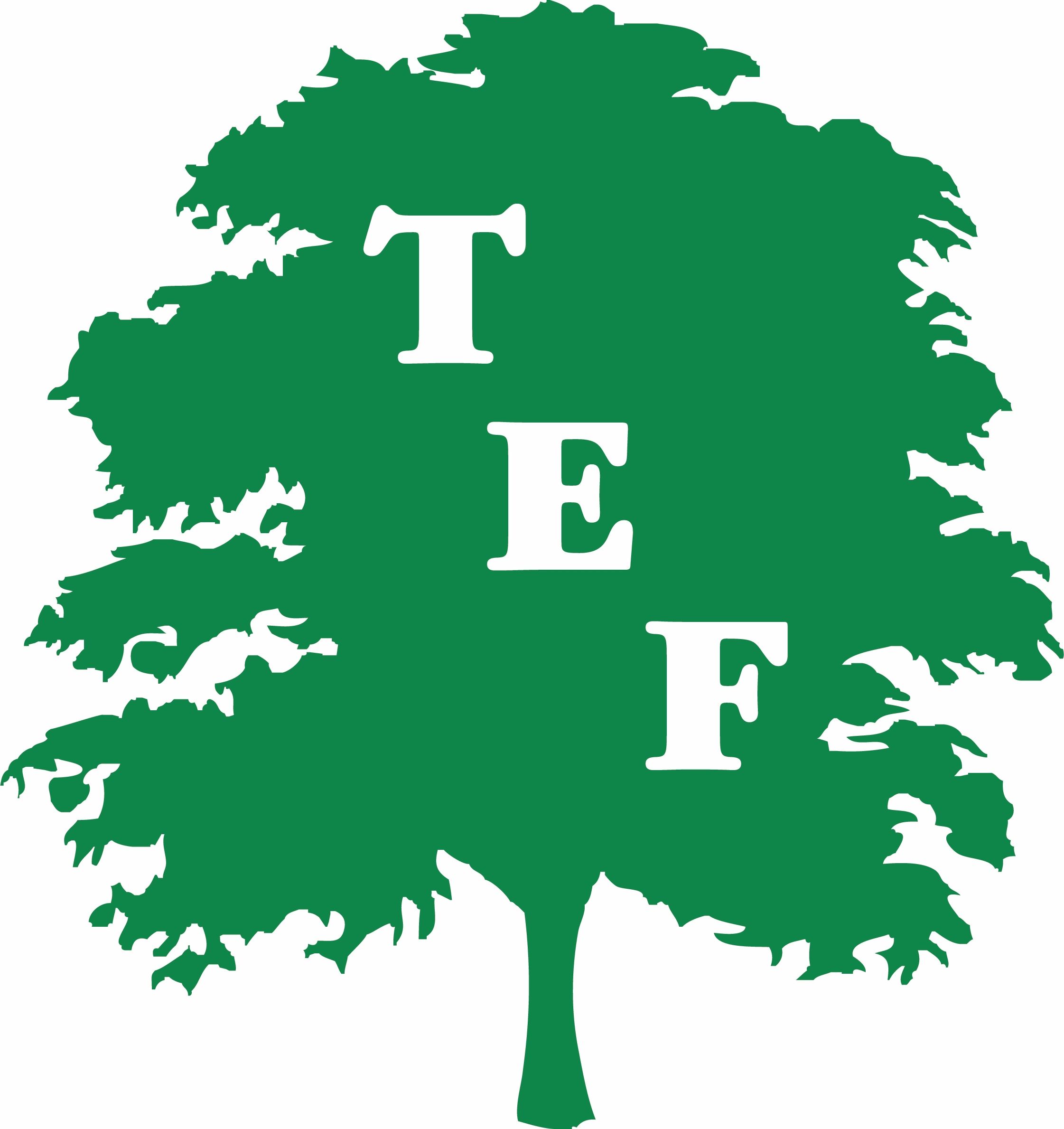 Trenton Educational Foundation logo